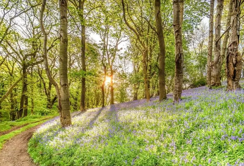 پانسیون Nesscliffe