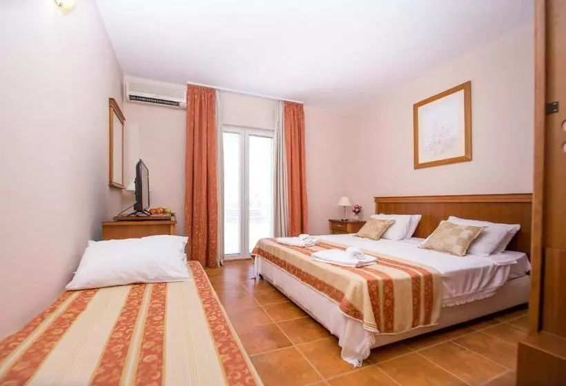 Pension Vila Lazovic