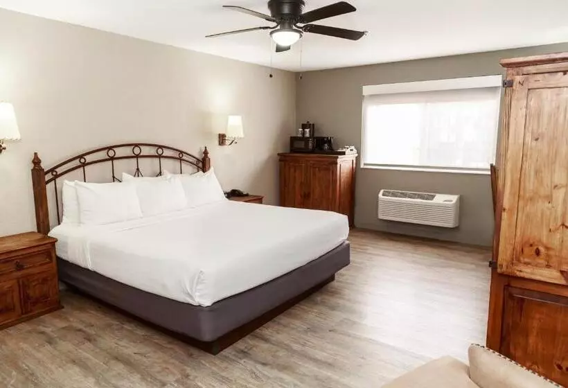 בית מלון כפרי Aarchway Inn