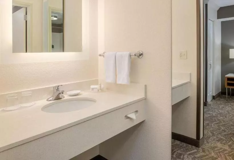 Hotel Springhill Suites Portland Airport