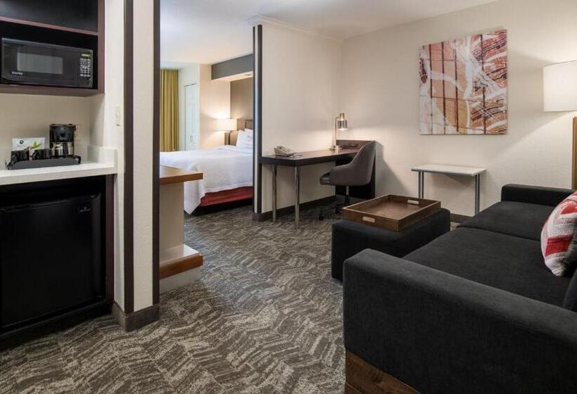 Otel Springhill Suites Portland Airport