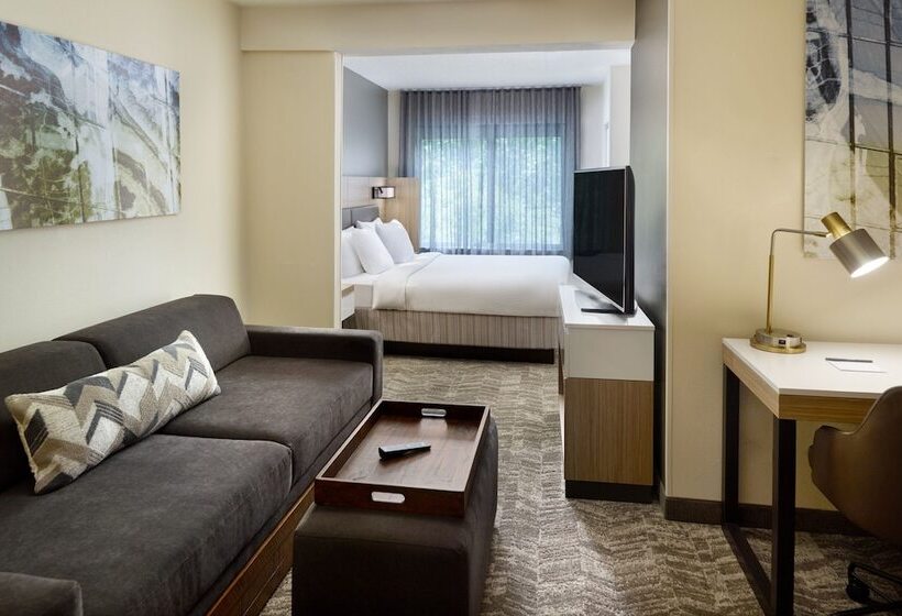 ホテル Springhill Suites Raleighdurham Airport/research Triangle Park