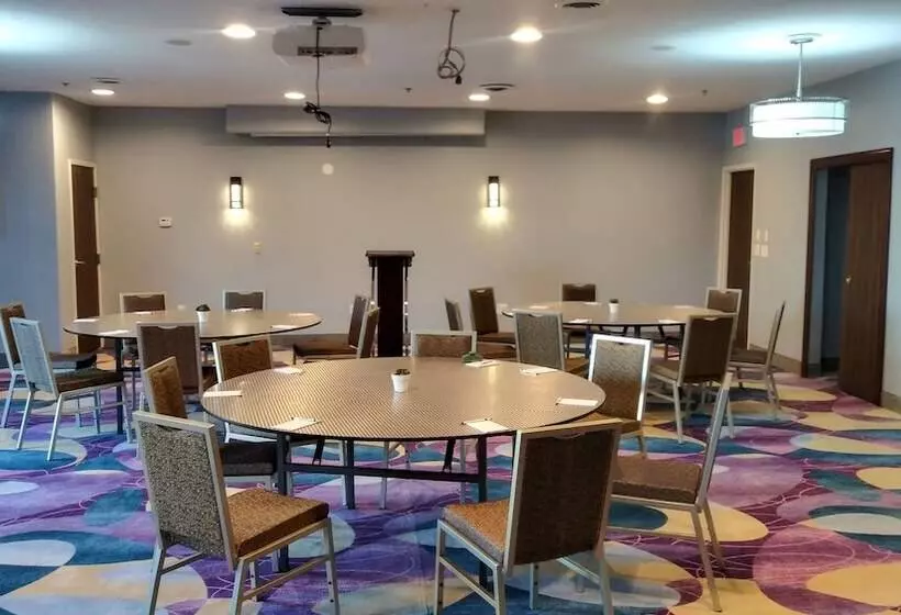 The Leo Collection Detroit, Ascend Hotel Collection