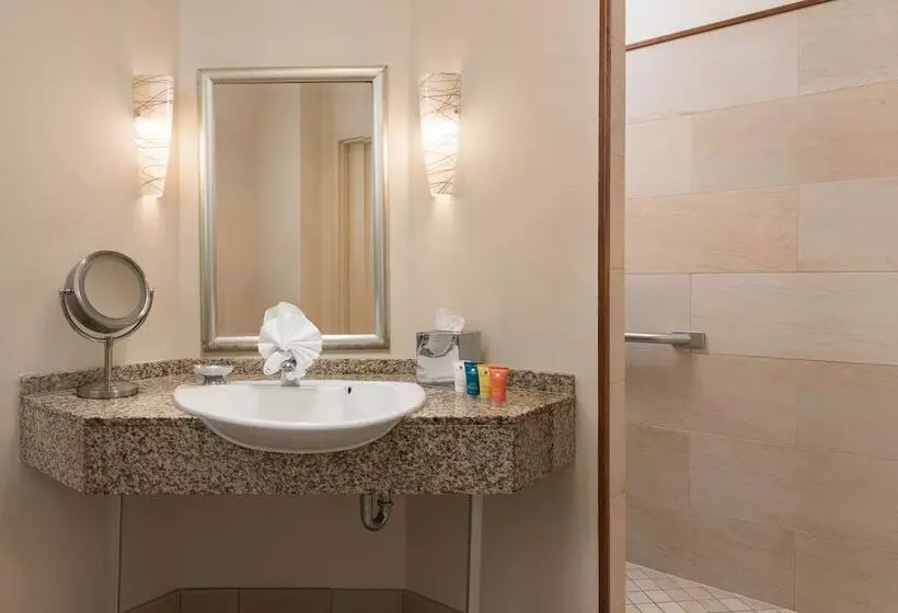 هتل The Mansion On Delaware Avenue