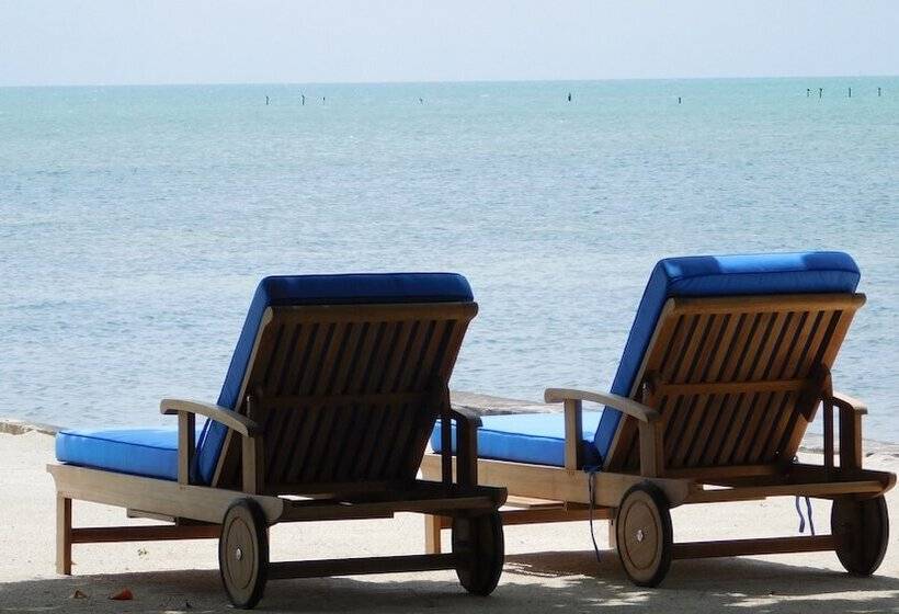 Pines & Palms Resort