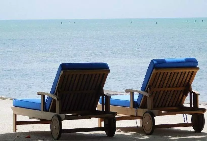 Pines & Palms Resort