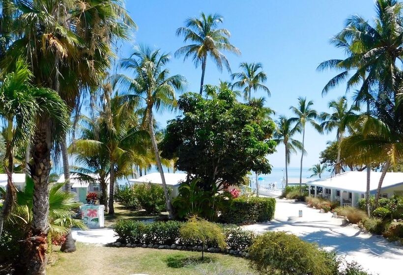 Pines & Palms Resort