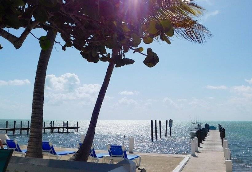 Pines & Palms Resort