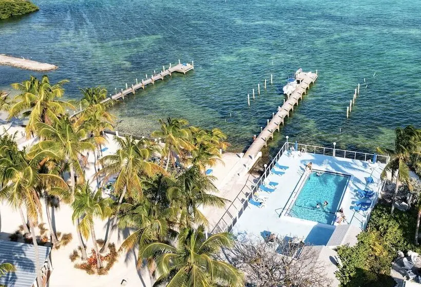 Pines & Palms Resort