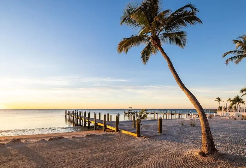 Pines & Palms Resort