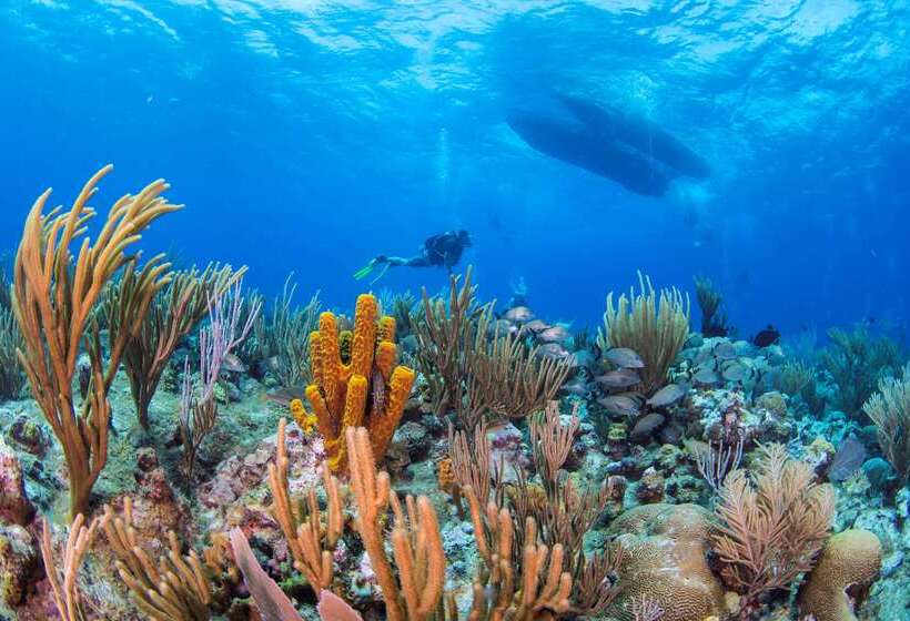 Wyndham Reef Resort, Grand Cayman