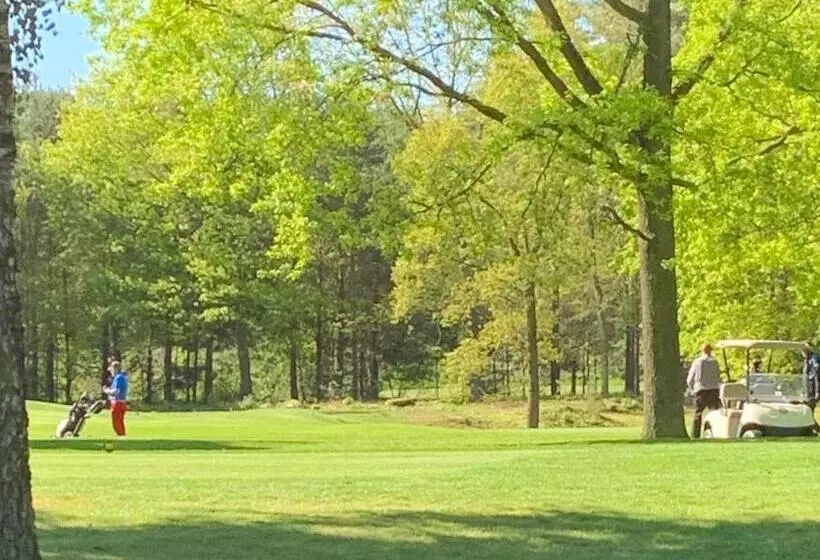 پانسیون 4hearts B&b