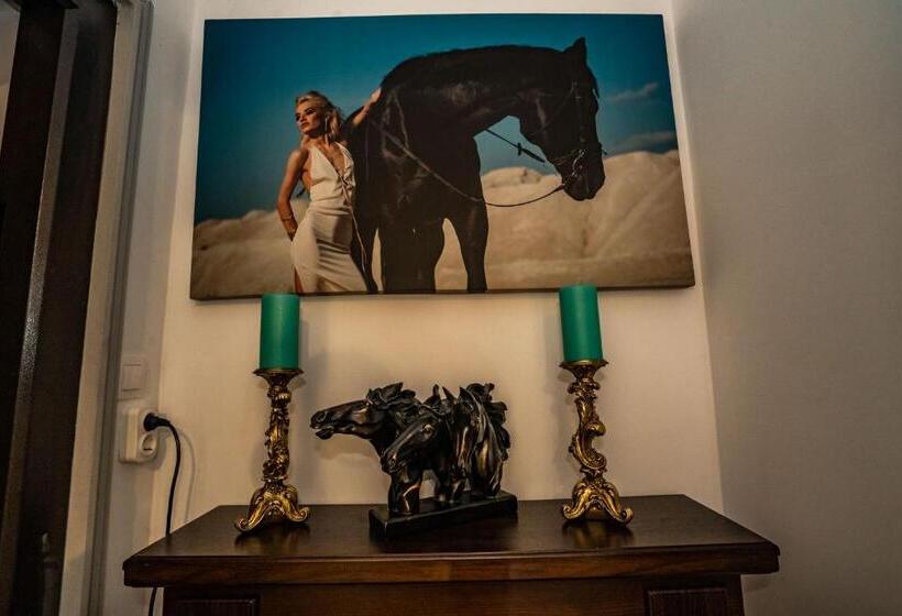 Pensiune Casa Del Flor Costinesti