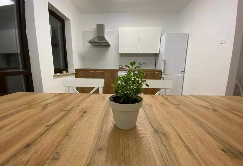 هاستل Sobe Kaki In Kivi