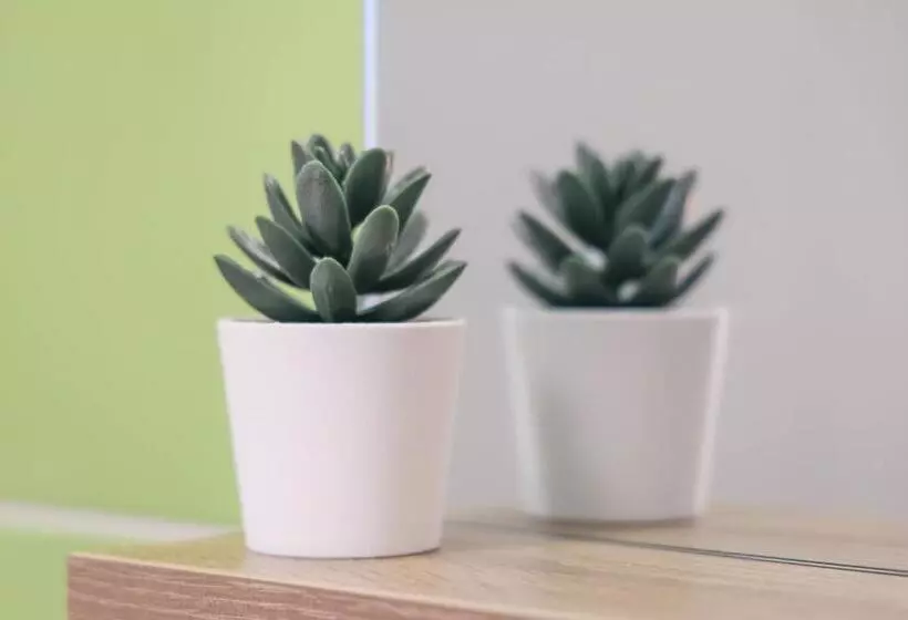 هاستل Sobe Kaki In Kivi