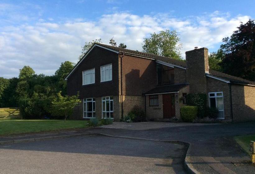 Bed and Breakfast Cobblestones