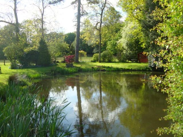 Bed and Breakfast Cobblestones