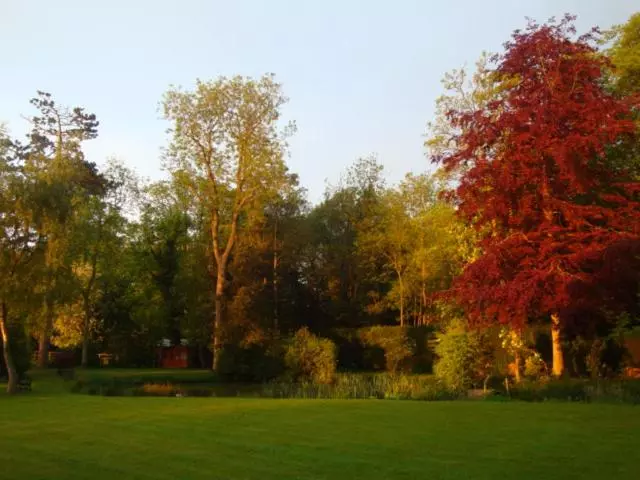 Aamiaismajoitus (B&B) Cobblestones