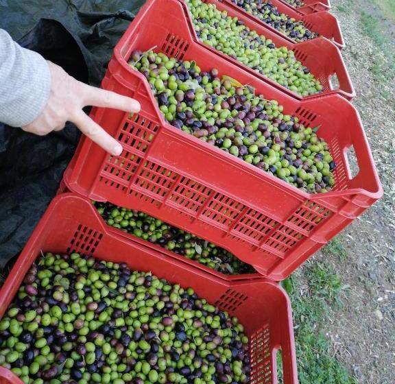 Отель Il Podere Di Sole