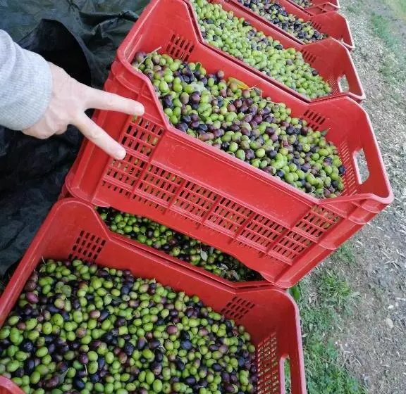 Hotelli Il Podere Di Sole