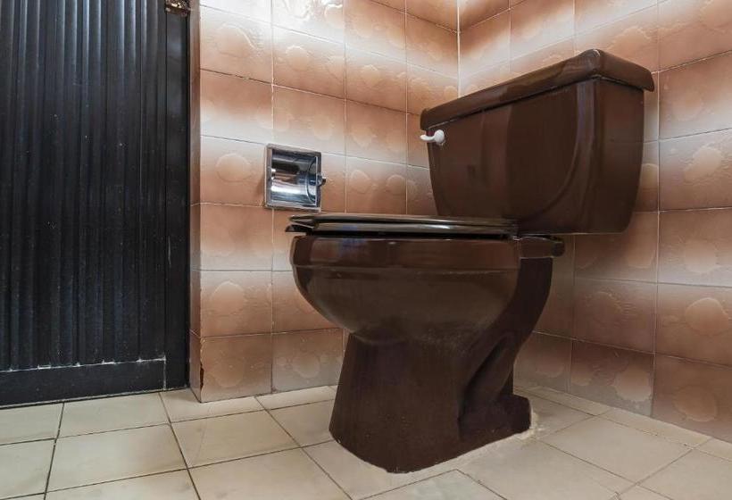 Hotel Mansion Humboldt