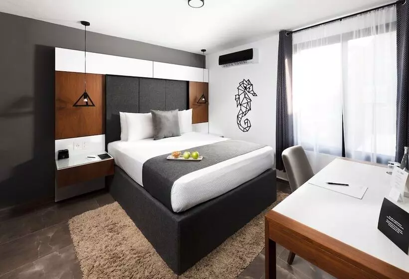 Seven Boutique Apartments Cancún