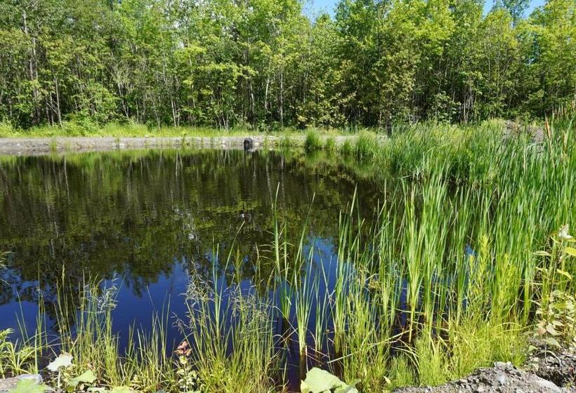 Bed and Breakfast Gite L'antre D'eux