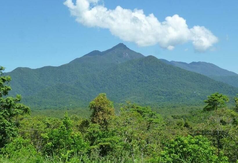 Bed and Breakfast Wompoo Eco Retreat