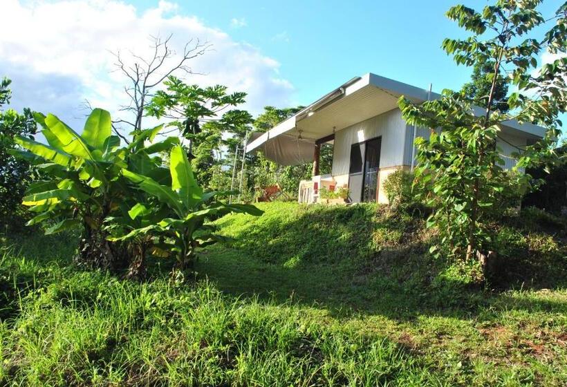 Bed and Breakfast Wompoo Eco Retreat