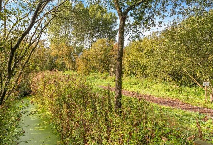 Norfolk Woods Resort And Spa