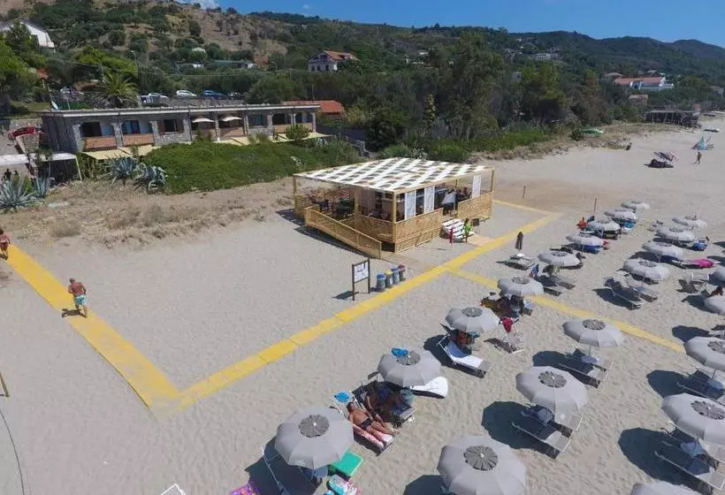 Residence Le Palme   Appartamenti Sul Mare   Spiaggia Tra Palinuro E Caprioli