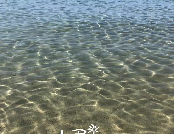 Residence Le Palme   Appartamenti Sul Mare   Spiaggia Tra Palinuro E Caprioli