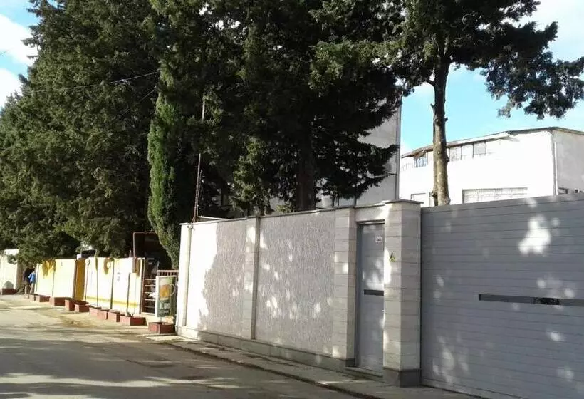 Hostel Guesthouse Star Georgia