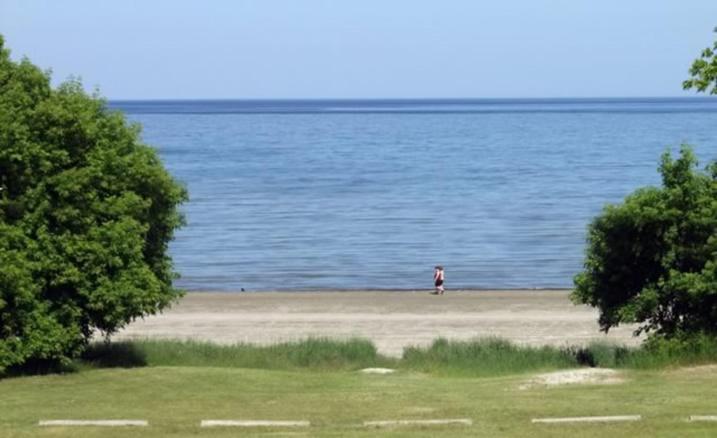 旅馆 Inn On The Beach