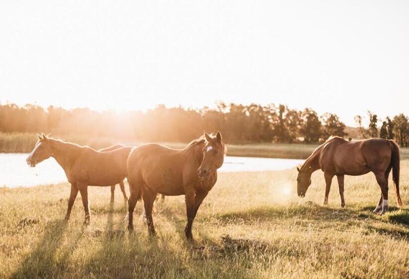 Bed and Breakfast Argentille Boutique Accommodation
