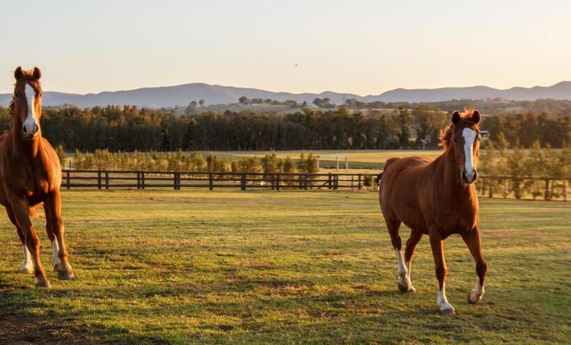 Bed and Breakfast Argentille Boutique Accommodation