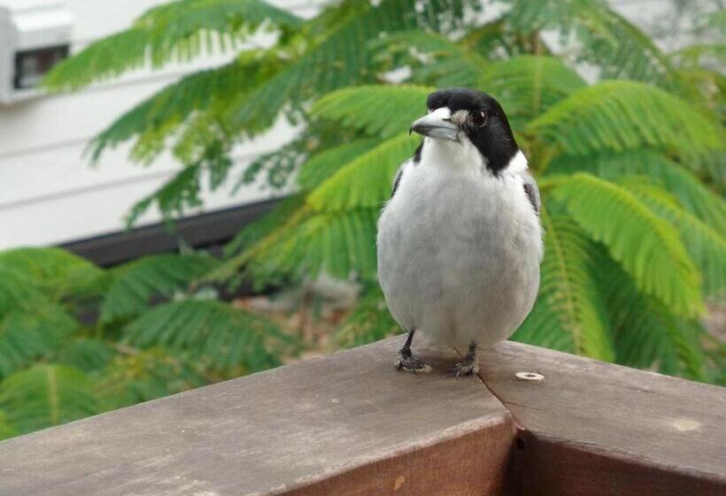 مبيت وإفطار Eumundi Cottages Cottage 1