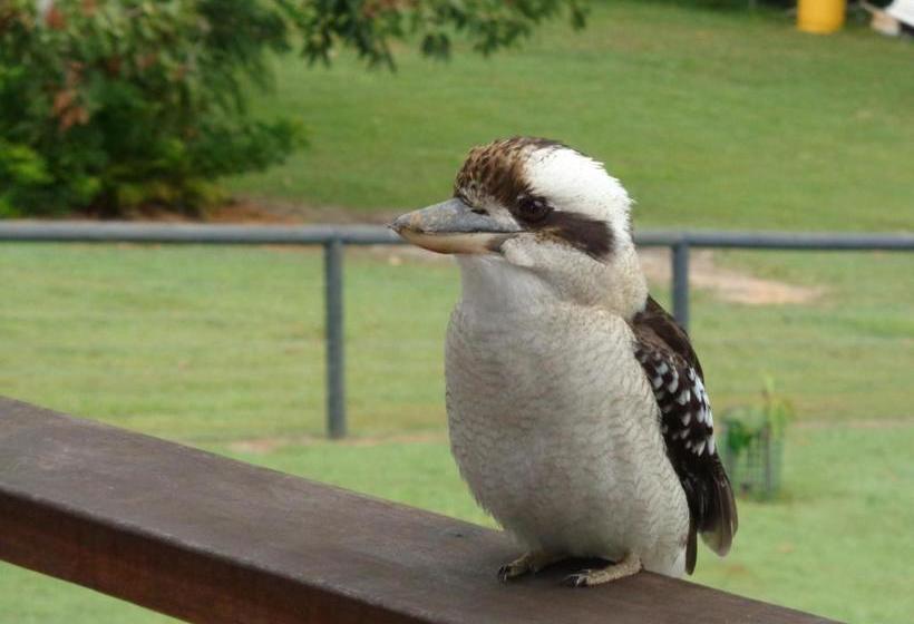 مبيت وإفطار Eumundi Cottages Cottage 1