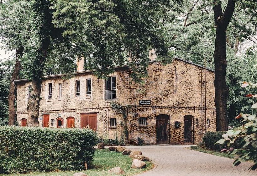 Gasthaus Und Pension Alter Hafen