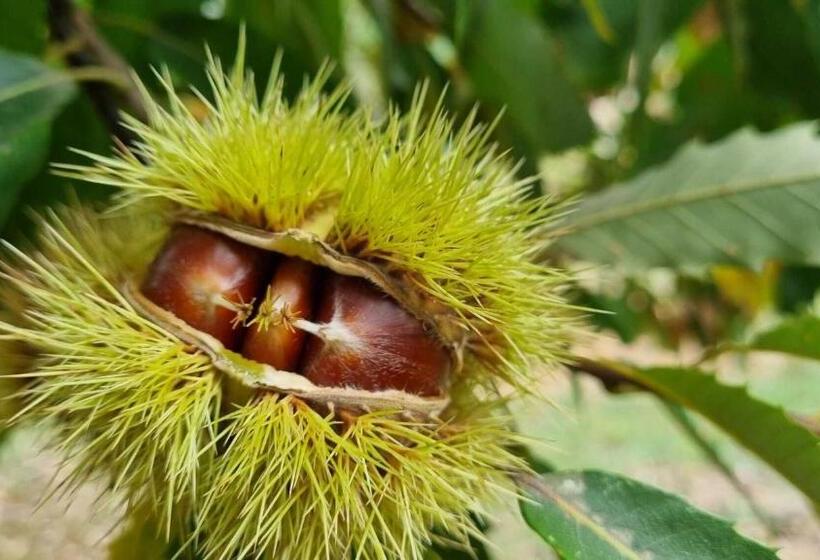 Отель La Botalla Agriturismo