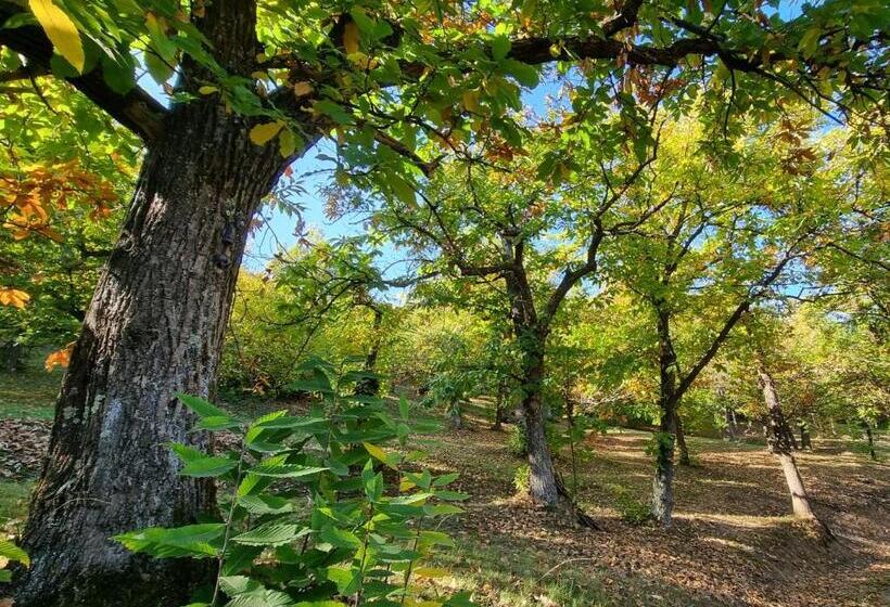 Отель La Botalla Agriturismo