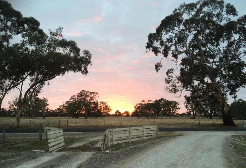 Mapperley Bed And Breakfast