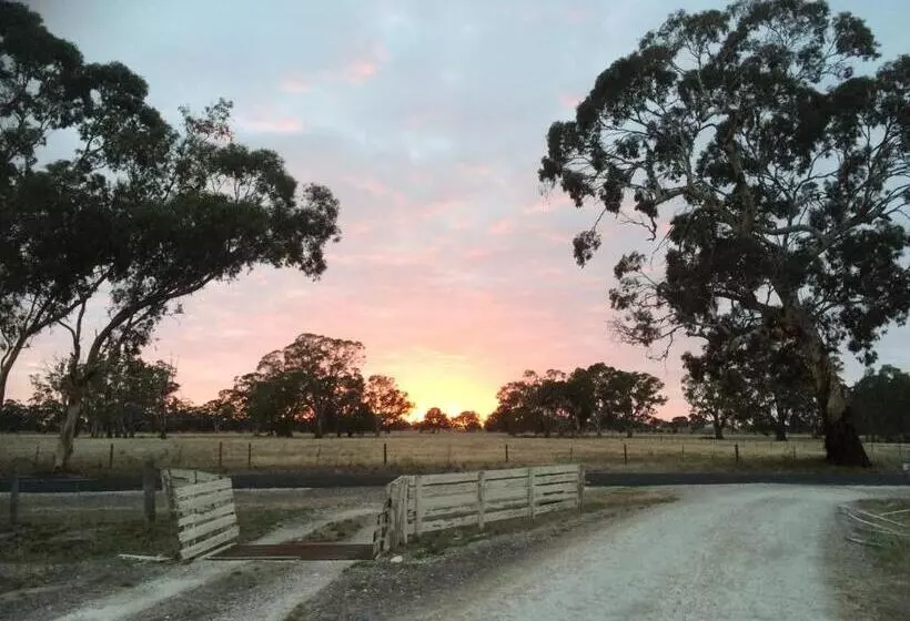 Mapperley Bed And Breakfast