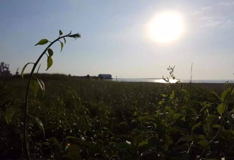 モーテル The Inn At Soho Square