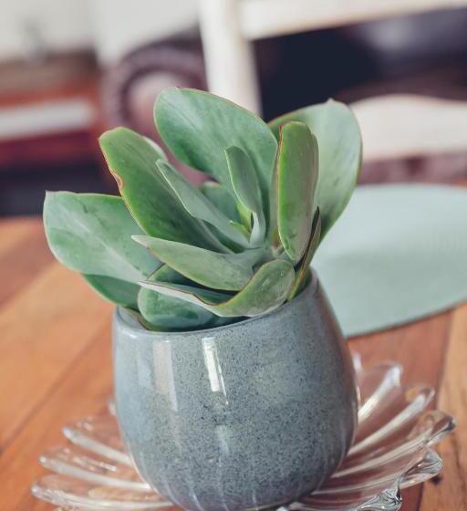 Пансион Station House Simondium