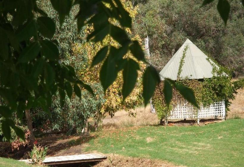 Woodlands Of Bridgetown B&b