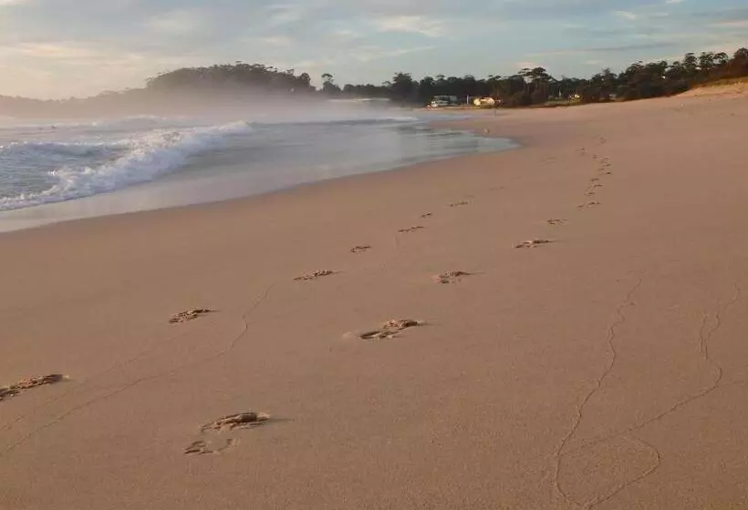 ベッドアンドブレックファースト The Ridge Retreat At Mollymook