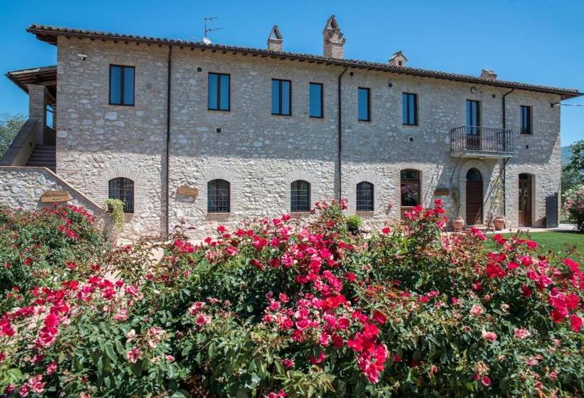 酒店 Casale Rotoloni