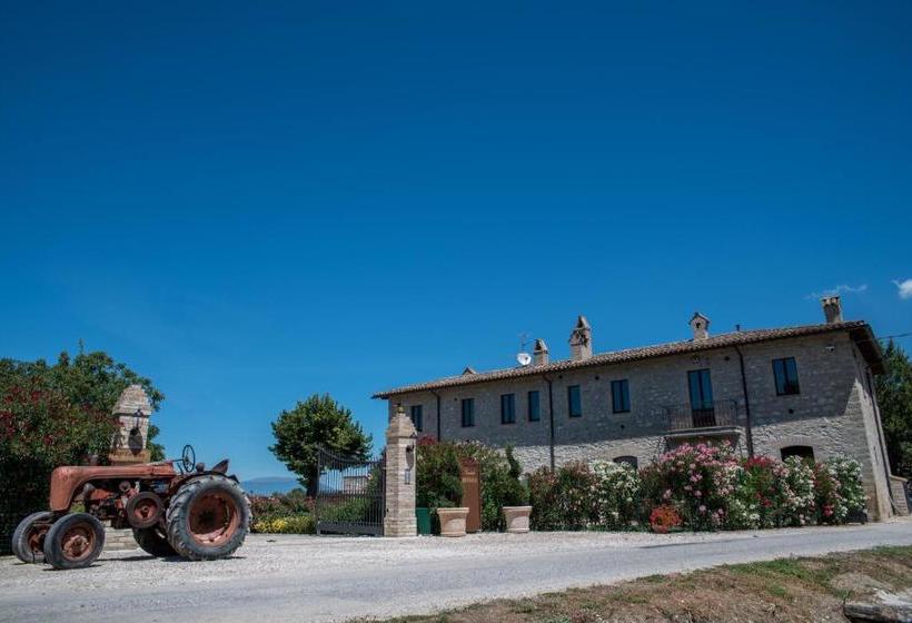 酒店 Casale Rotoloni