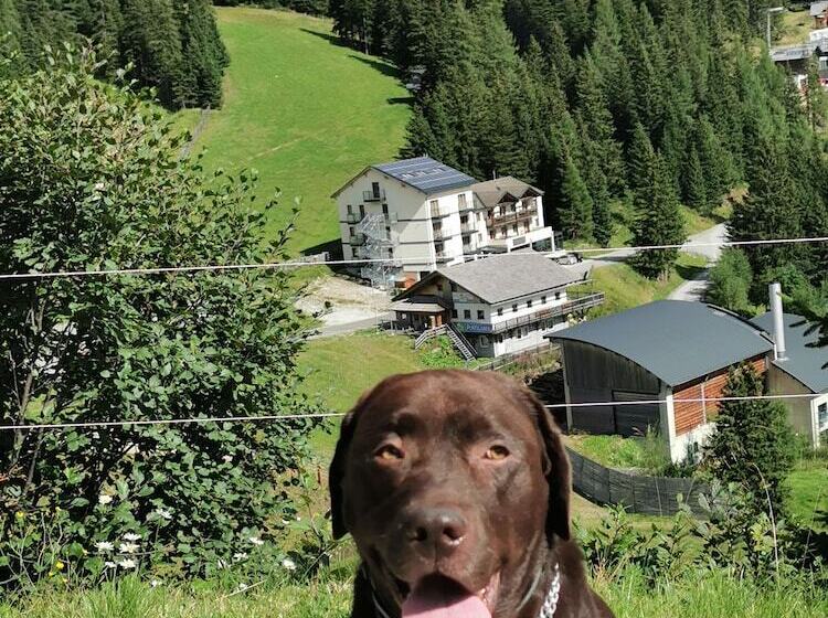 旅馆 Alpengasthof Tanzstatt
